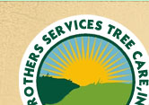Brothers Tree Services