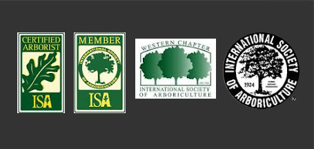Tree Service Members of
