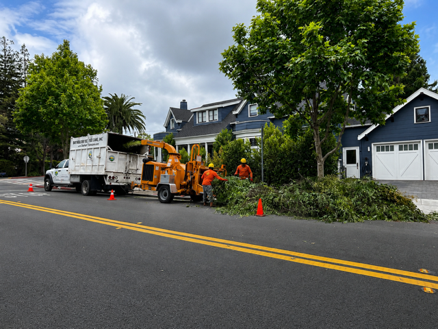 Residential tree service for Peninsula homeowners