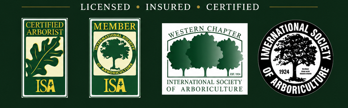 Brothers Services Tree Care accreditations and arborist certifications